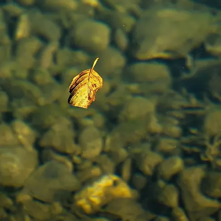 펜션 Rzav, Ti I Ja.