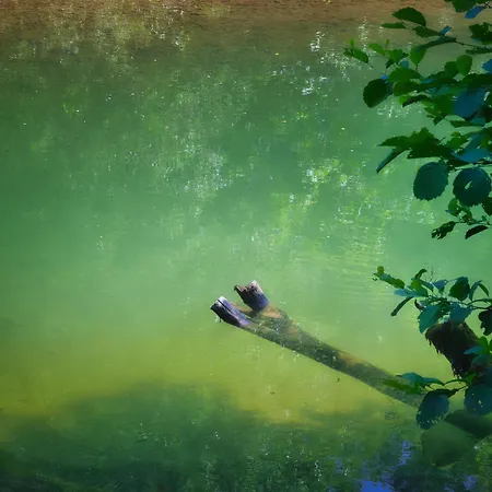 Rzav, Ti I Ja. Arilje