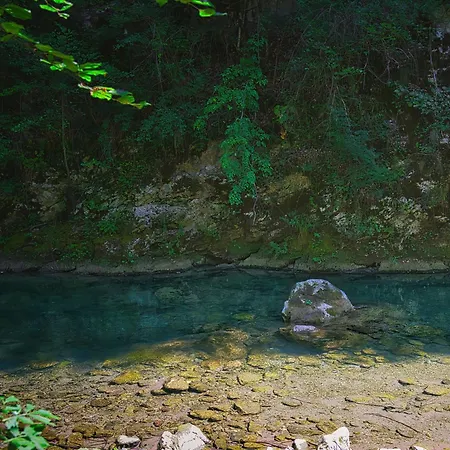 펜션 Rzav, Ti I Ja. *