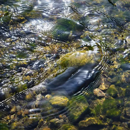 Rzav, Ti I Ja. 펜션 Arilje