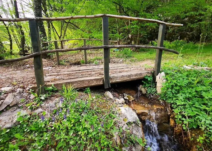 펜션 Rzav, Ti I Ja.