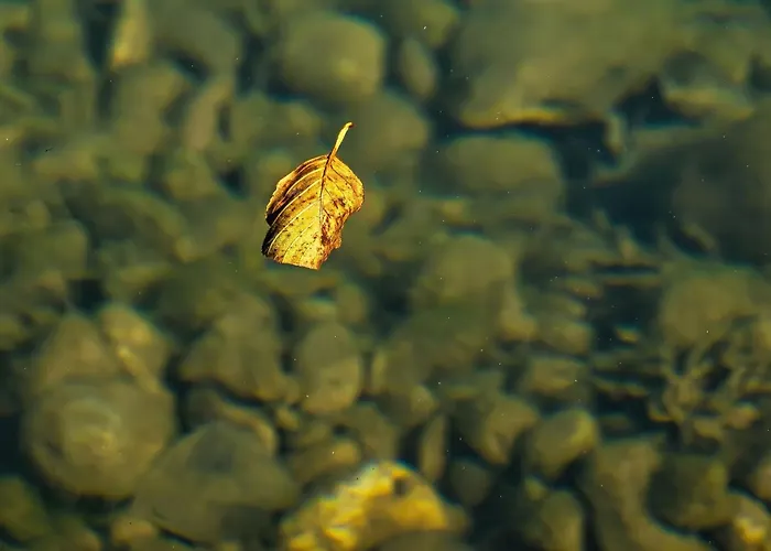 펜션 Rzav, Ti I Ja.