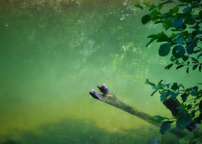 Rzav, Ti I Ja. Arilje