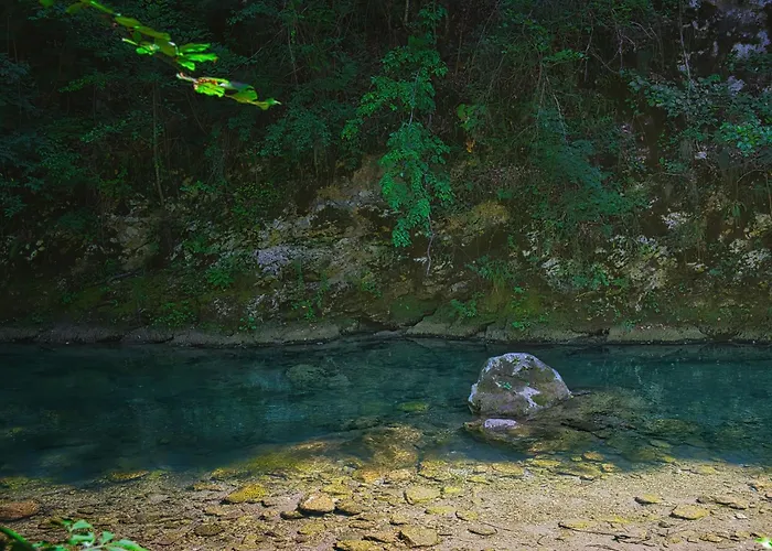 펜션 Rzav, Ti I Ja. *