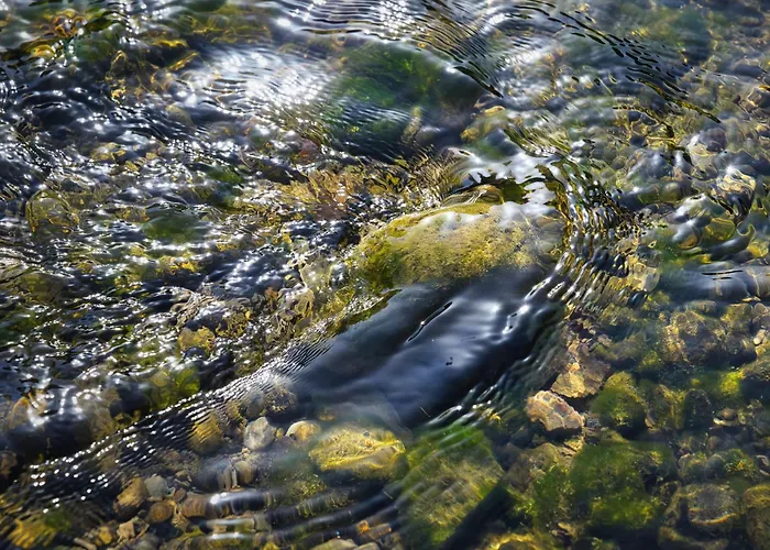 Rzav, Ti I Ja. 펜션 Arilje